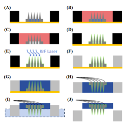 Neural Interfaces | Utah Nanofab